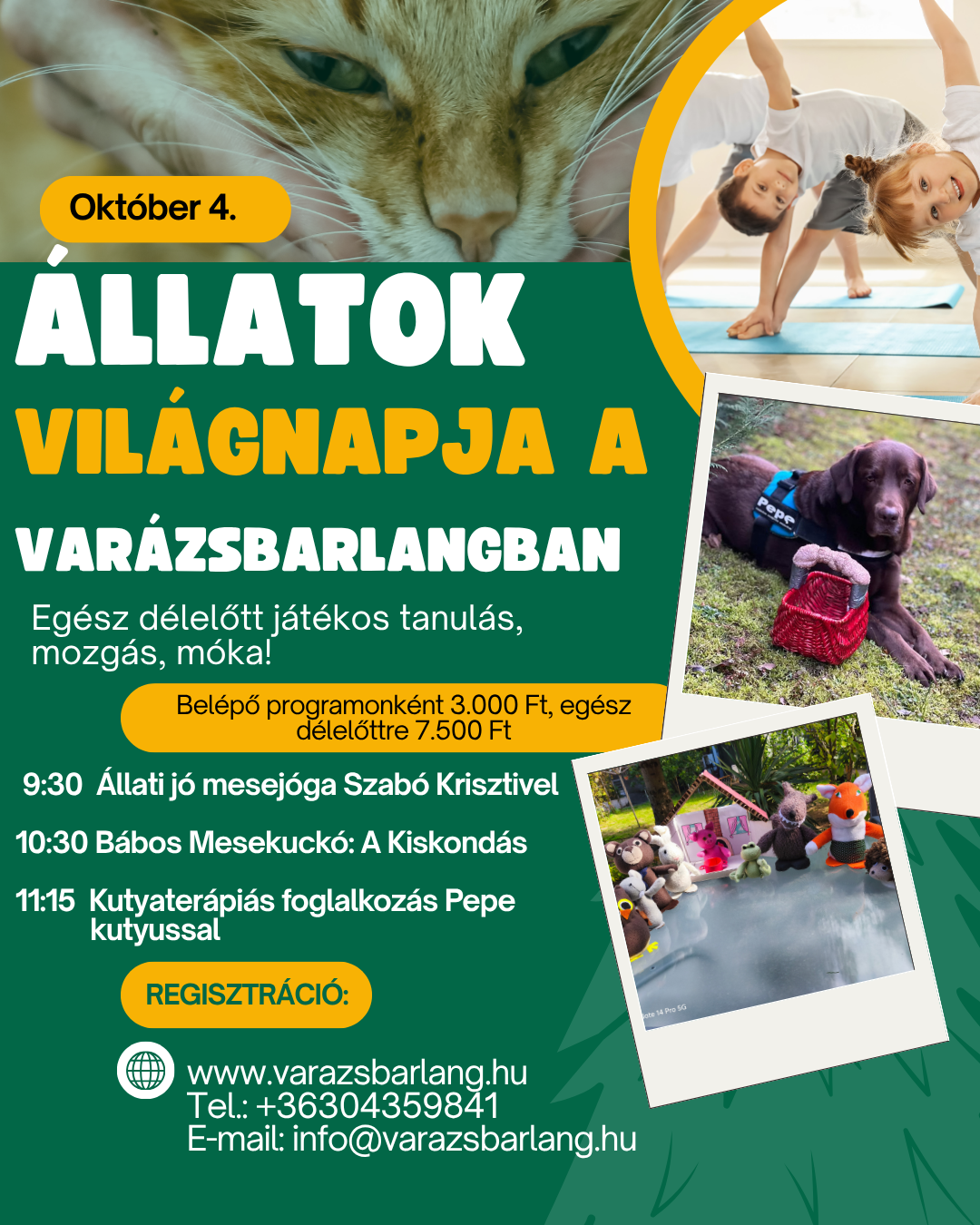 Read more about the article Állati jó programok a Varázsbarlangban az Állatok világnapján