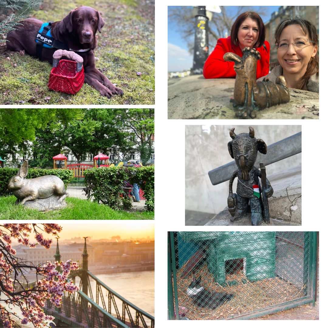 Read more about the article Élménytábor a tavaszi szünetben a Varázsbarlangban: minden nap új kaland